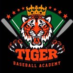 TIGER ACADEMIA